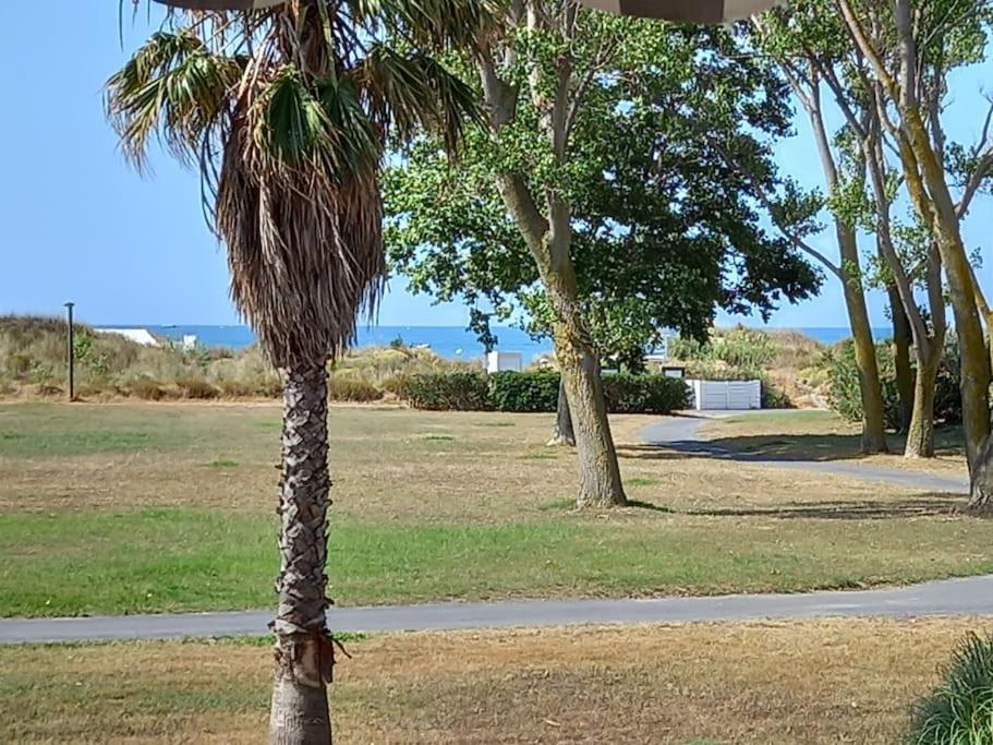 Amouvera C14, T2 Vue Mer, Piscine, Clim, Parking Agde Bagian luar foto